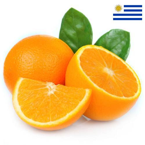 Апельсины из Уругвая