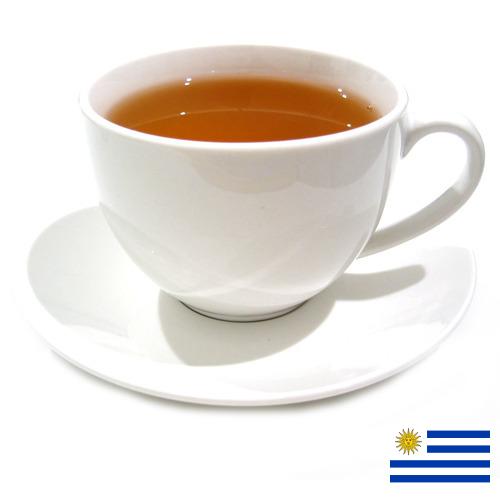 Чай из Уругвая