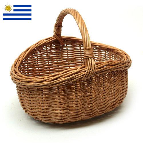 корзинки из Уругвая