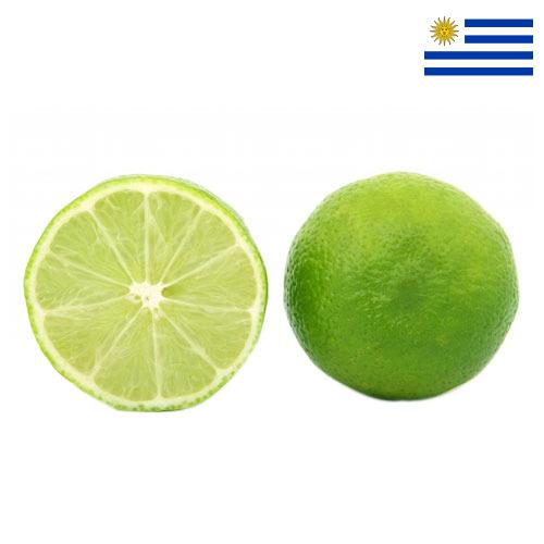 лайм из Уругвая