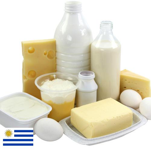 Молочная продукция из Уругвая