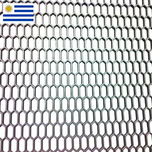 Сетка пластиковая из Уругвая