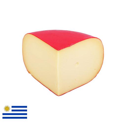 сыр гауда из Уругвая
