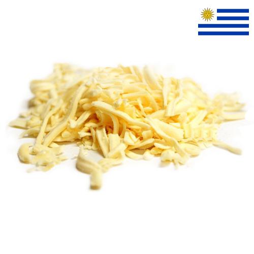 сыр моцарелла из Уругвая