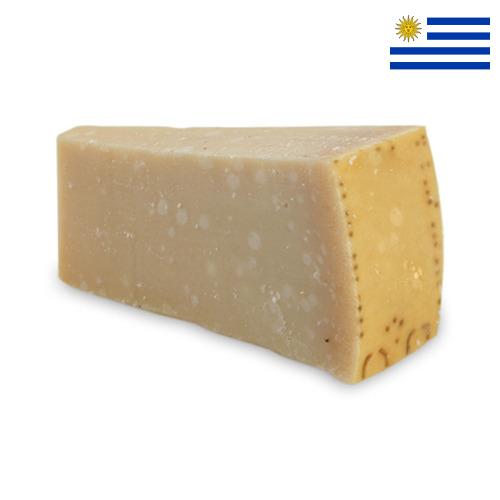сыр пармезан из Уругвая