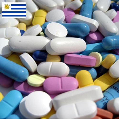 Ветеринарные препараты из Уругвая
