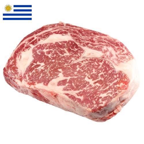 замороженного мясо из Уругвая