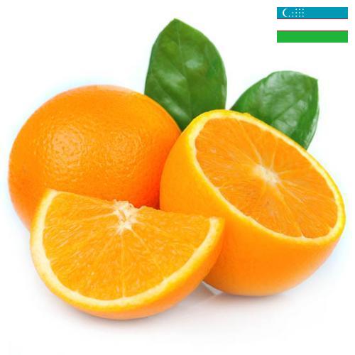 Апельсины из Узбекистана