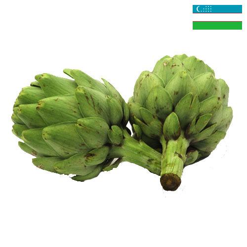 артишок из Узбекистана