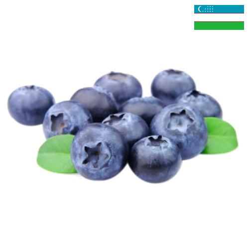 Черника из Узбекистана