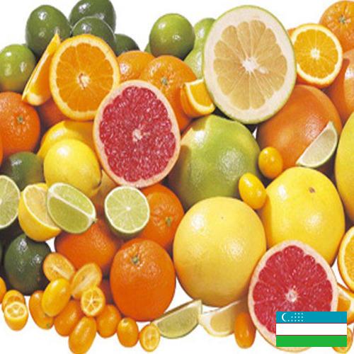 Цитрусовые фрукты из Узбекистана