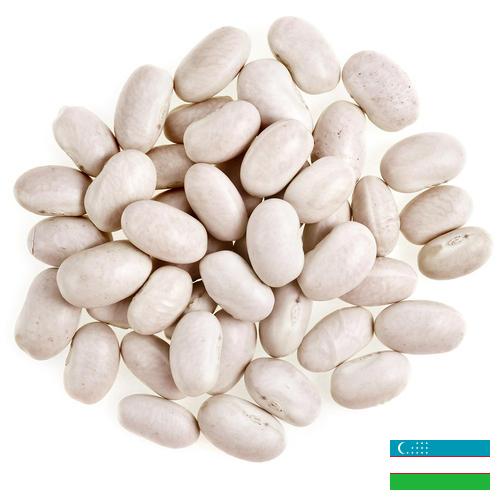 фасоль белая из Узбекистана