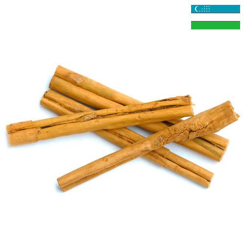 Корица из Узбекистана