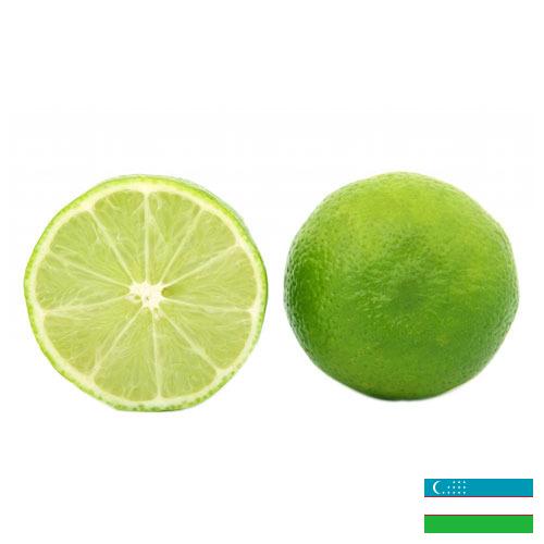 лайм из Узбекистана