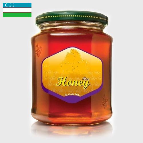 мед натуральный из Узбекистана