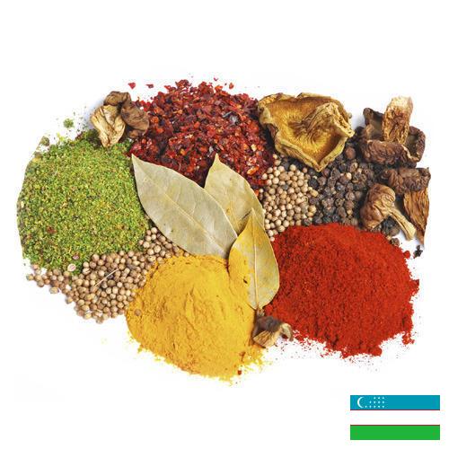 пряности из Узбекистана