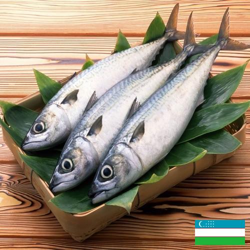 рыба свежая из Узбекистана