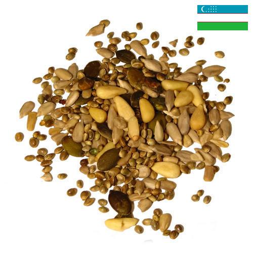 Семечки из Узбекистана