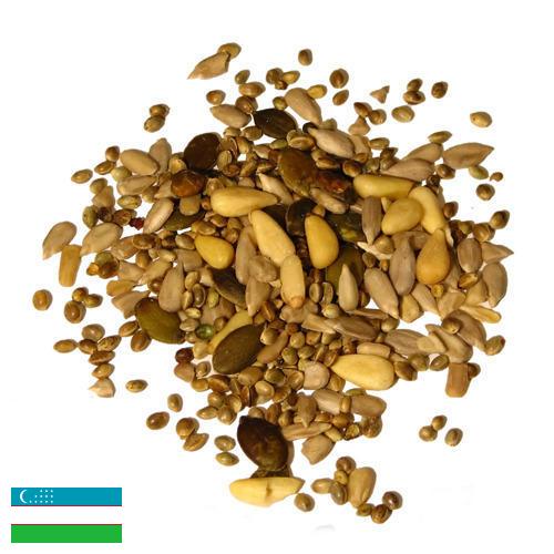 Семена из Узбекистана