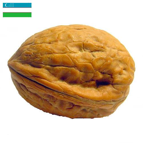Скорлупа грецкого ореха из Узбекистана