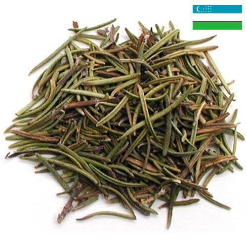 Травы сушеные из Узбекистана