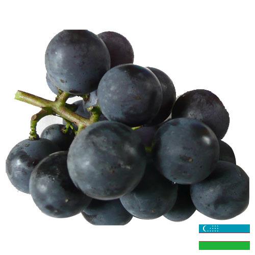 виноград столовый из Узбекистана