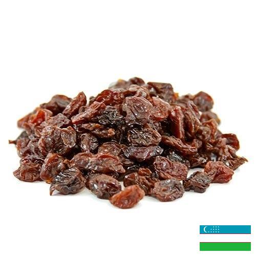 Вишня сушеная из Узбекистана