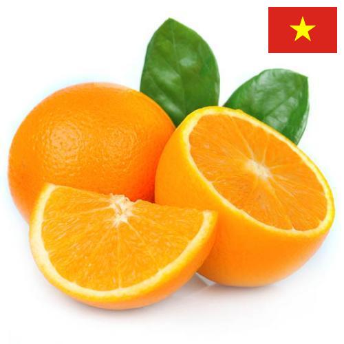 Апельсины из Вьетнама