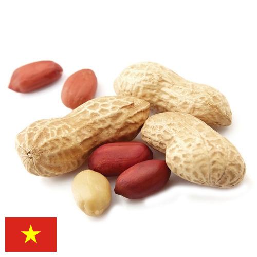 арахис очищенный из Вьетнама