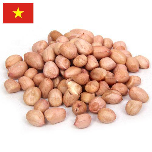 арахис сырой из Вьетнама