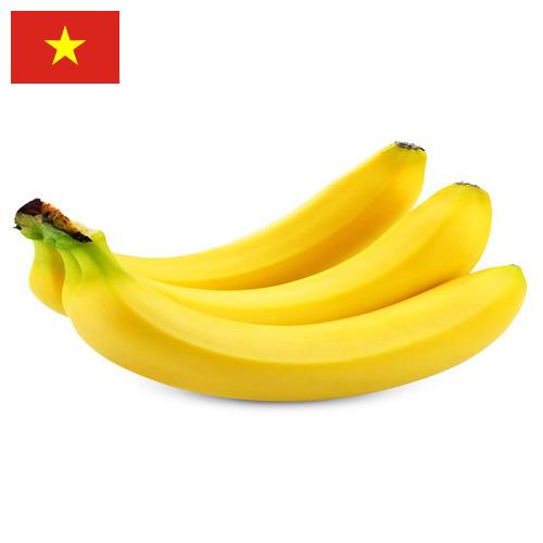 Бананы из Вьетнама