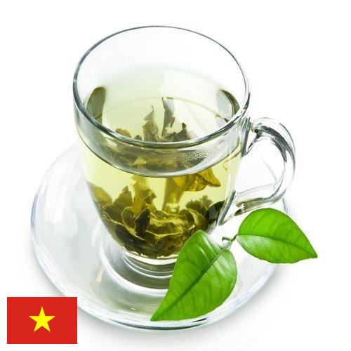 чай зеленый байховый из Вьетнама