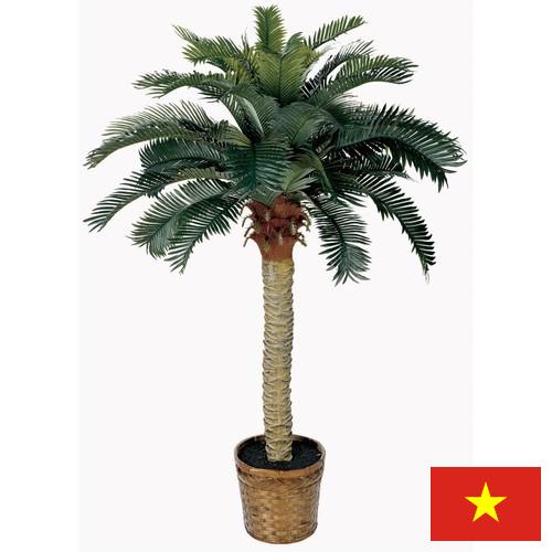 Деревья искусственные из Вьетнама