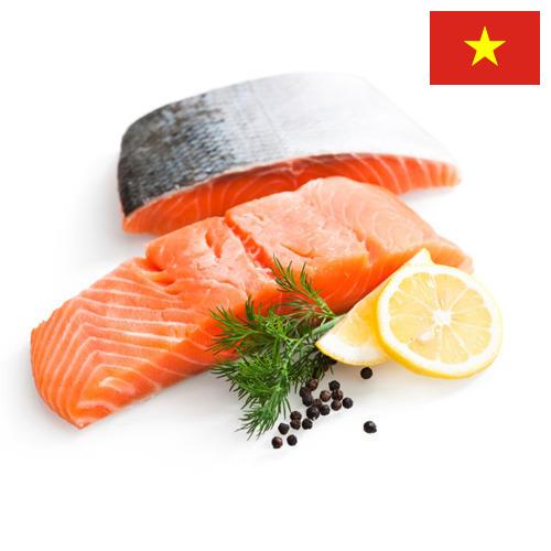 Филе рыбы из Вьетнама