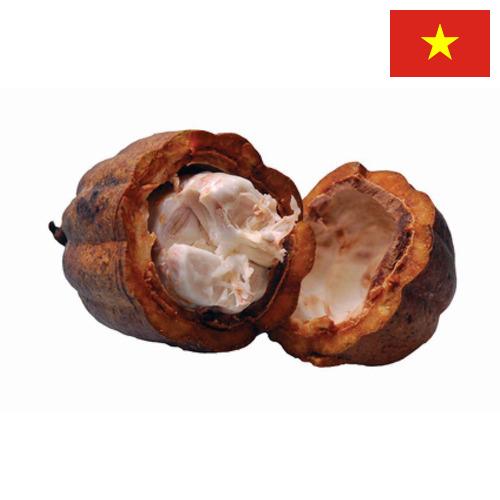 Какао масло из Вьетнама