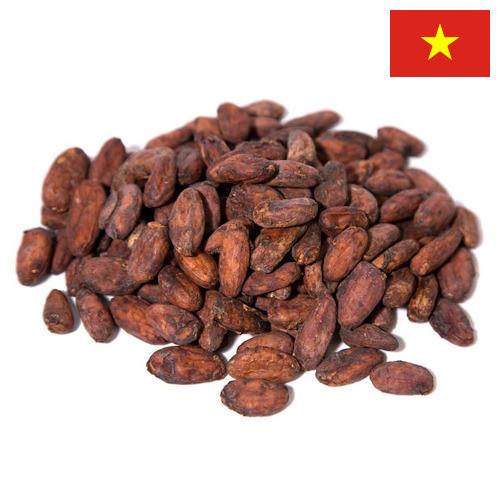 какао-бобы из Вьетнама