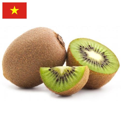 Киви из Вьетнама
