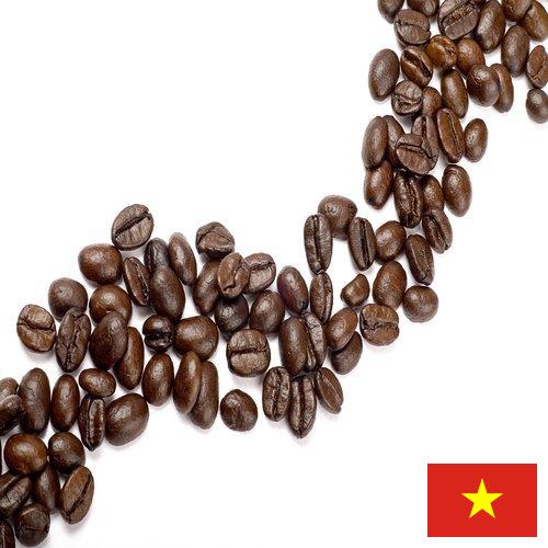 кофе зерновой из Вьетнама