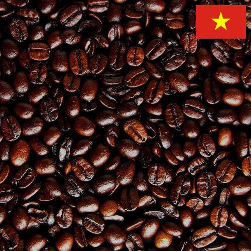 кофе жареный из Вьетнама
