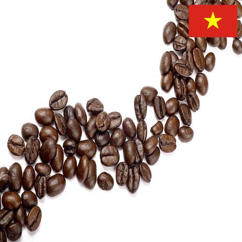 кофейные зерна из Вьетнама
