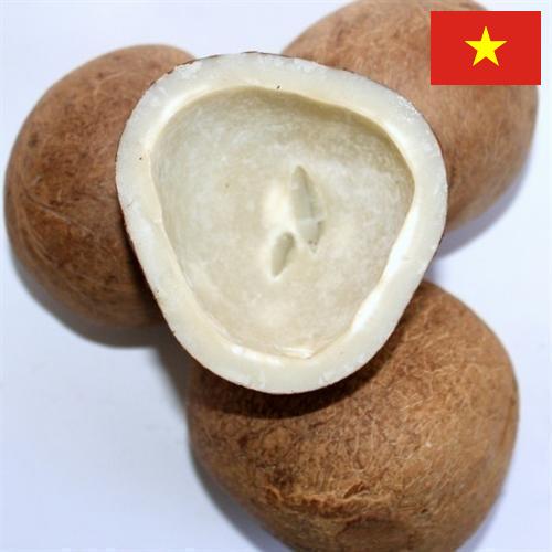 Кокос сушеный из Вьетнама