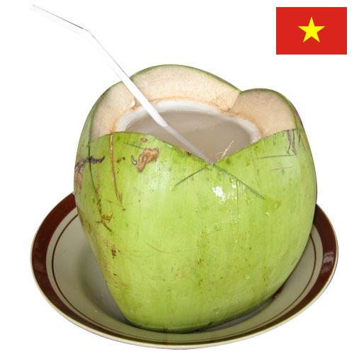 кокосовая вода из Вьетнама