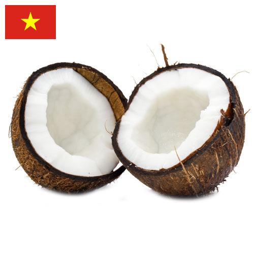 Кокосы из Вьетнама