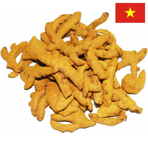 Куркума из Вьетнама