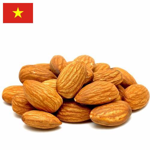 Миндаль из Вьетнама