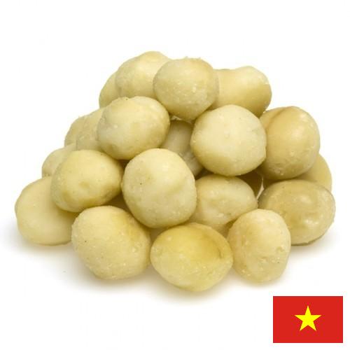 Орехи макадамия из Вьетнама