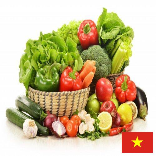 Овощи свежие из Вьетнама