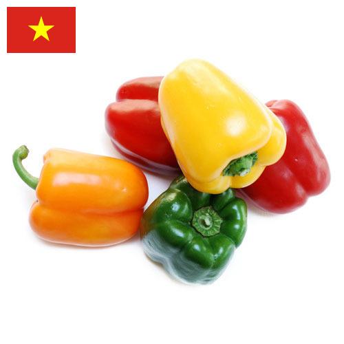перец болгарский свежий из Вьетнама