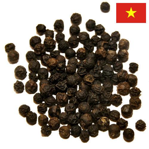 Перец черный горошек из Вьетнама