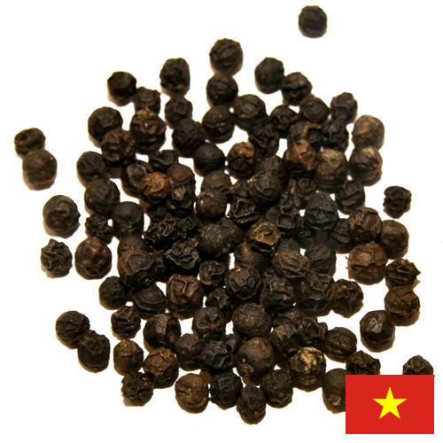 перец черный из Вьетнама